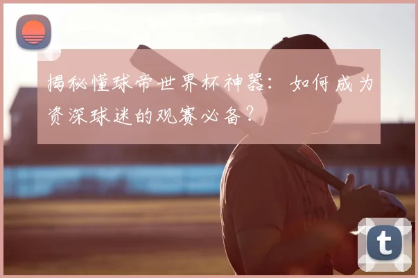 揭秘懂球帝世界杯神器：如何成为资深球迷的观赛必备？