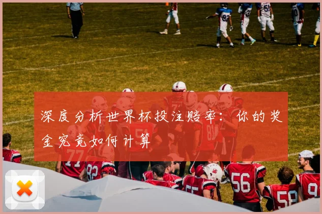 深度分析世界杯投注赔率：你的奖金究竟如何计算