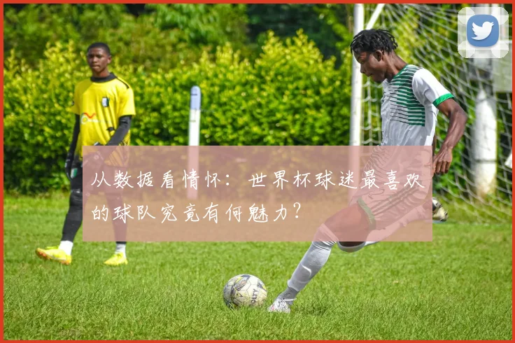 从数据看情怀：世界杯球迷最喜欢的球队究竟有何魅力？