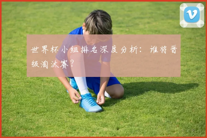 世界杯小组排名深度分析：谁将晋级淘汰赛？