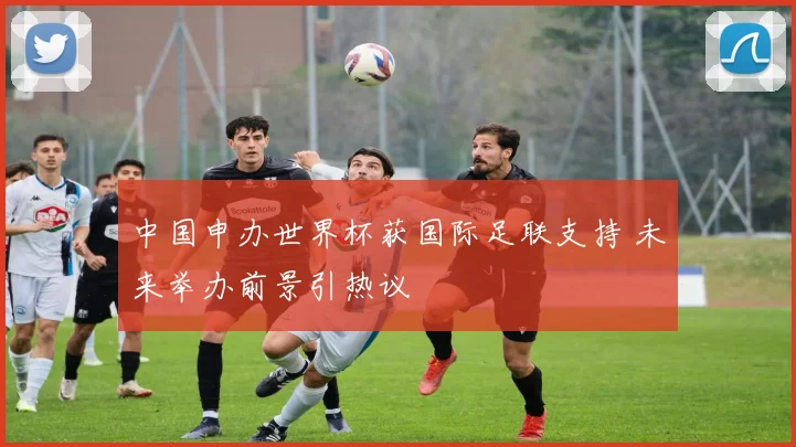 中国申办世界杯获国际足联支持 未来举办前景引热议