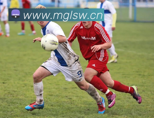 多媒体互动体验